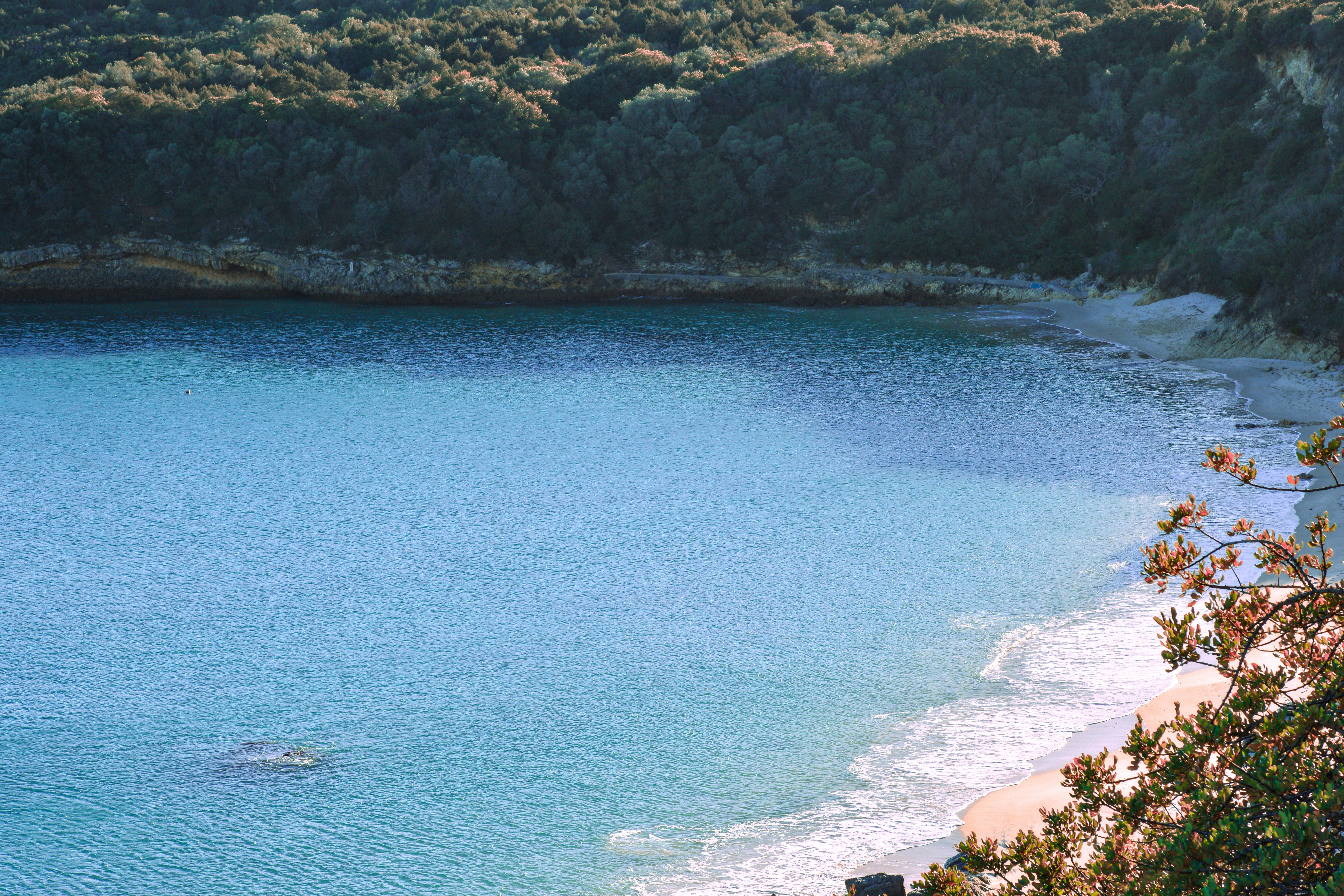 Praia dos Galapinhos