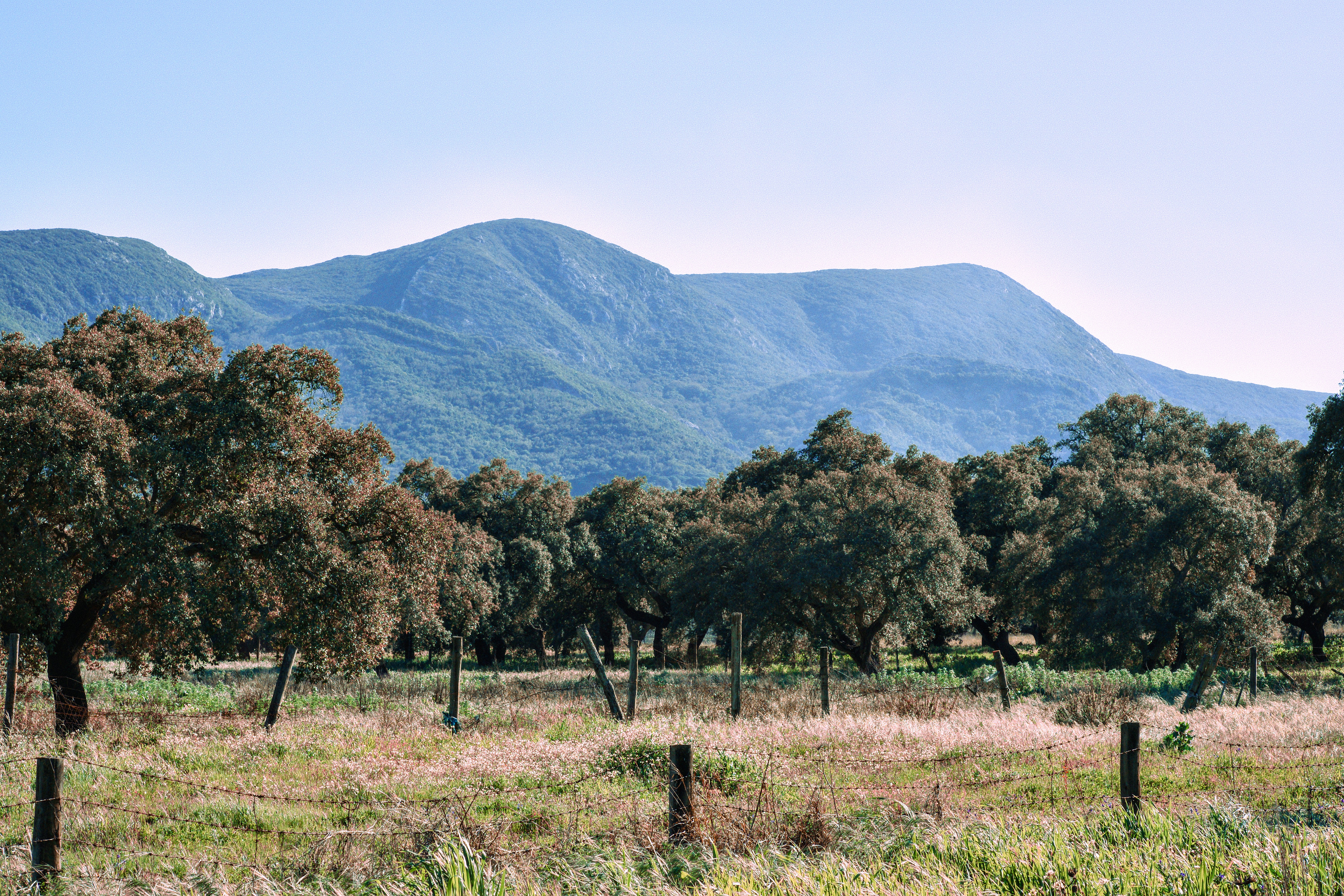 Serra do Risco